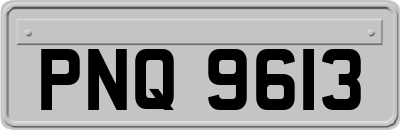 PNQ9613