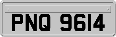 PNQ9614