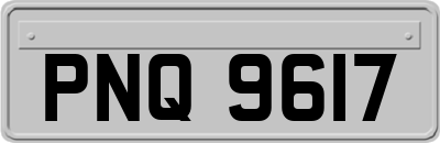 PNQ9617