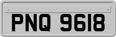 PNQ9618