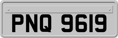 PNQ9619