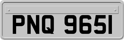 PNQ9651