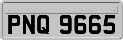 PNQ9665