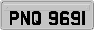 PNQ9691