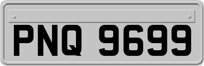 PNQ9699