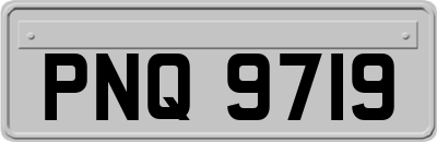 PNQ9719