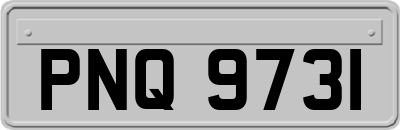 PNQ9731
