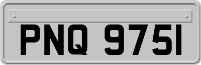 PNQ9751