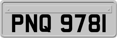 PNQ9781