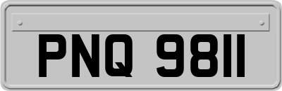 PNQ9811