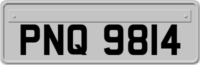 PNQ9814