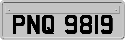 PNQ9819