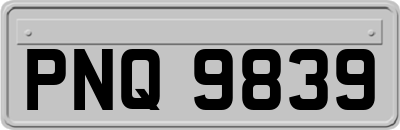 PNQ9839