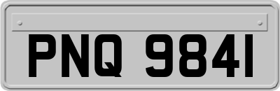 PNQ9841