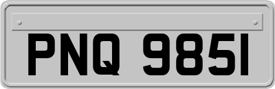 PNQ9851
