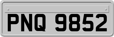PNQ9852