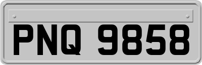 PNQ9858