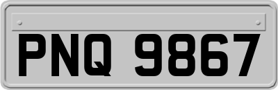 PNQ9867