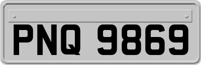 PNQ9869