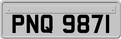 PNQ9871