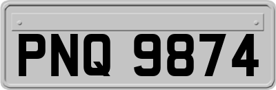 PNQ9874