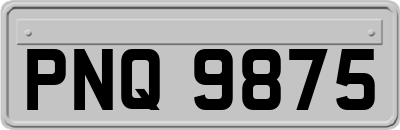 PNQ9875