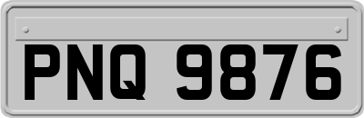 PNQ9876