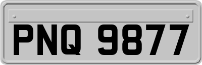 PNQ9877