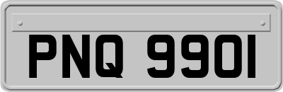 PNQ9901