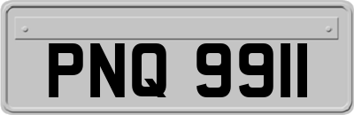 PNQ9911