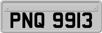 PNQ9913