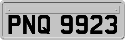 PNQ9923