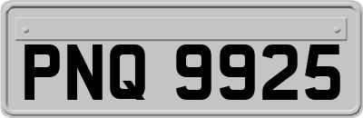 PNQ9925