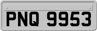 PNQ9953