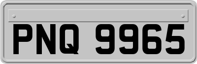 PNQ9965