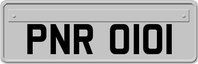 PNR0101