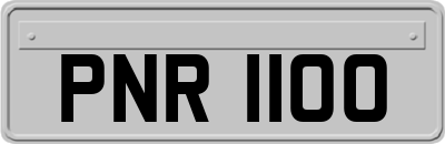 PNR1100