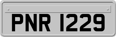 PNR1229