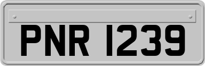 PNR1239