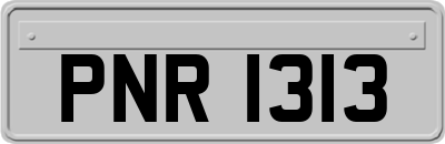 PNR1313