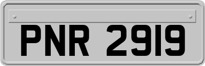 PNR2919