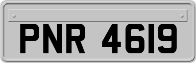 PNR4619