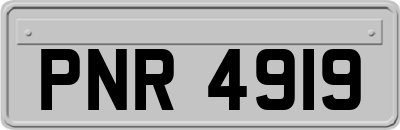 PNR4919