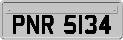 PNR5134