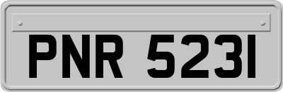 PNR5231
