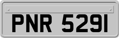 PNR5291