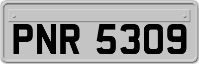 PNR5309