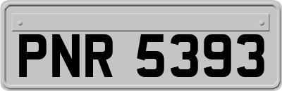 PNR5393