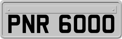 PNR6000