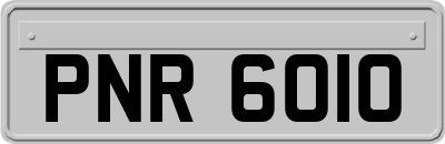 PNR6010